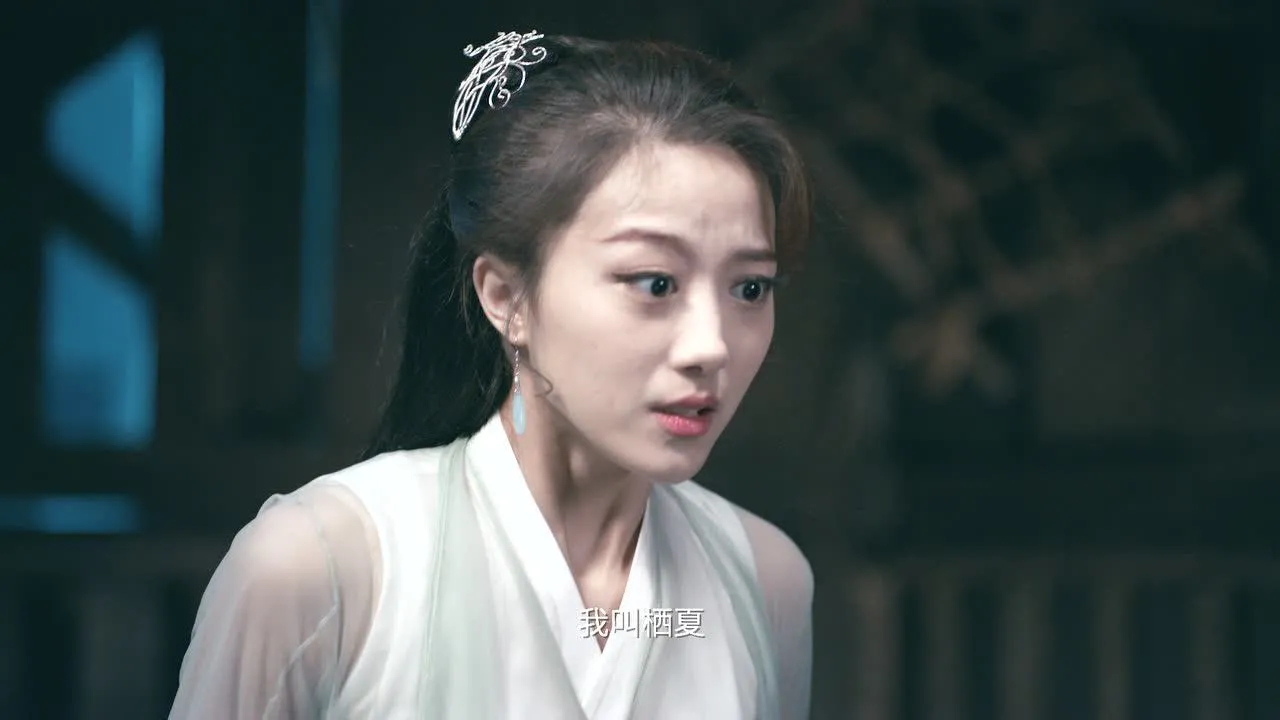 月陨回声